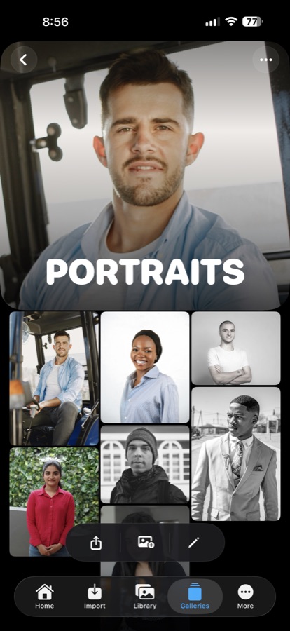 Glint Portraits gallery detail view.